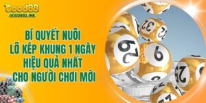 Bí Quyết Nuôi Lô Kép Khung 1 Ngày Hiệu Quả Nhất Cho Người Chơi Mới