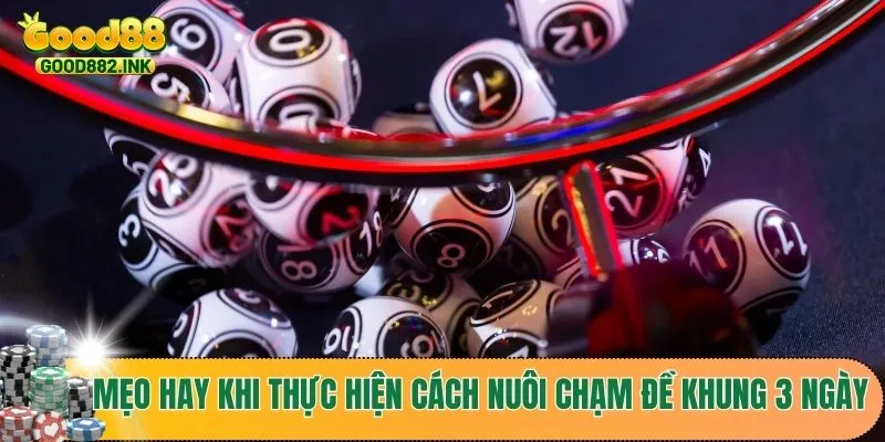 Chia sẻ mẹo hay khi thực hiện cách nuôi chạm đề khung 3 ngày
