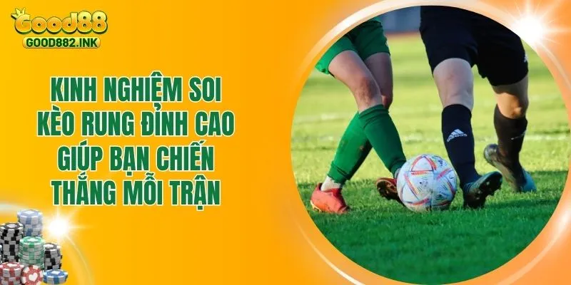 Kinh Nghiệm Soi Kèo Rung Đỉnh Cao Giúp Bạn Chiến Thắng