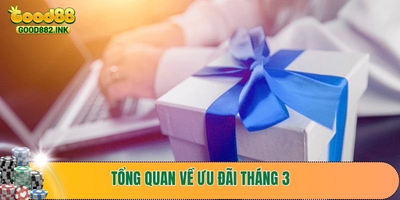 Tổng quan về chương trình ưu đãi tháng 3 của nhà cái
